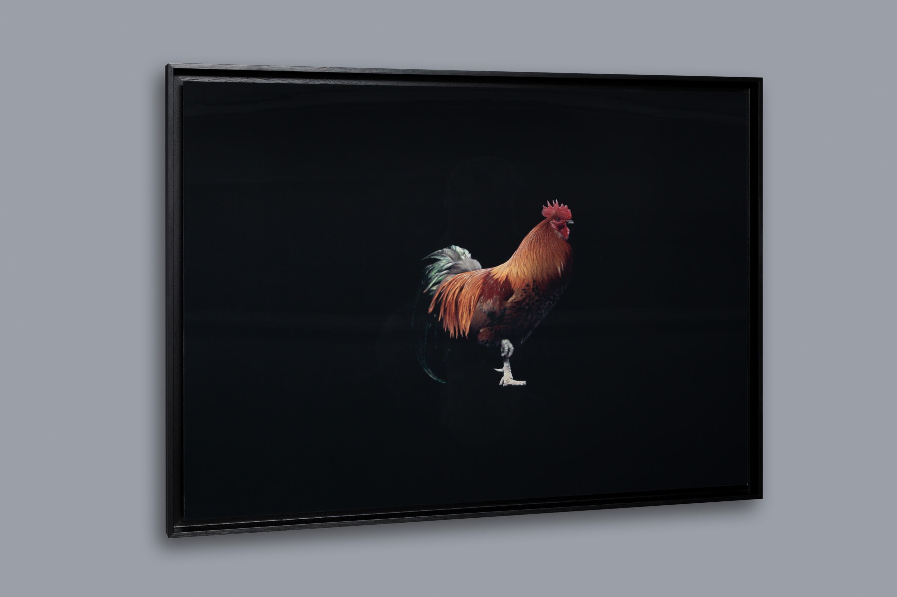 Charles de Meaux, Bestiaire 1, 2025