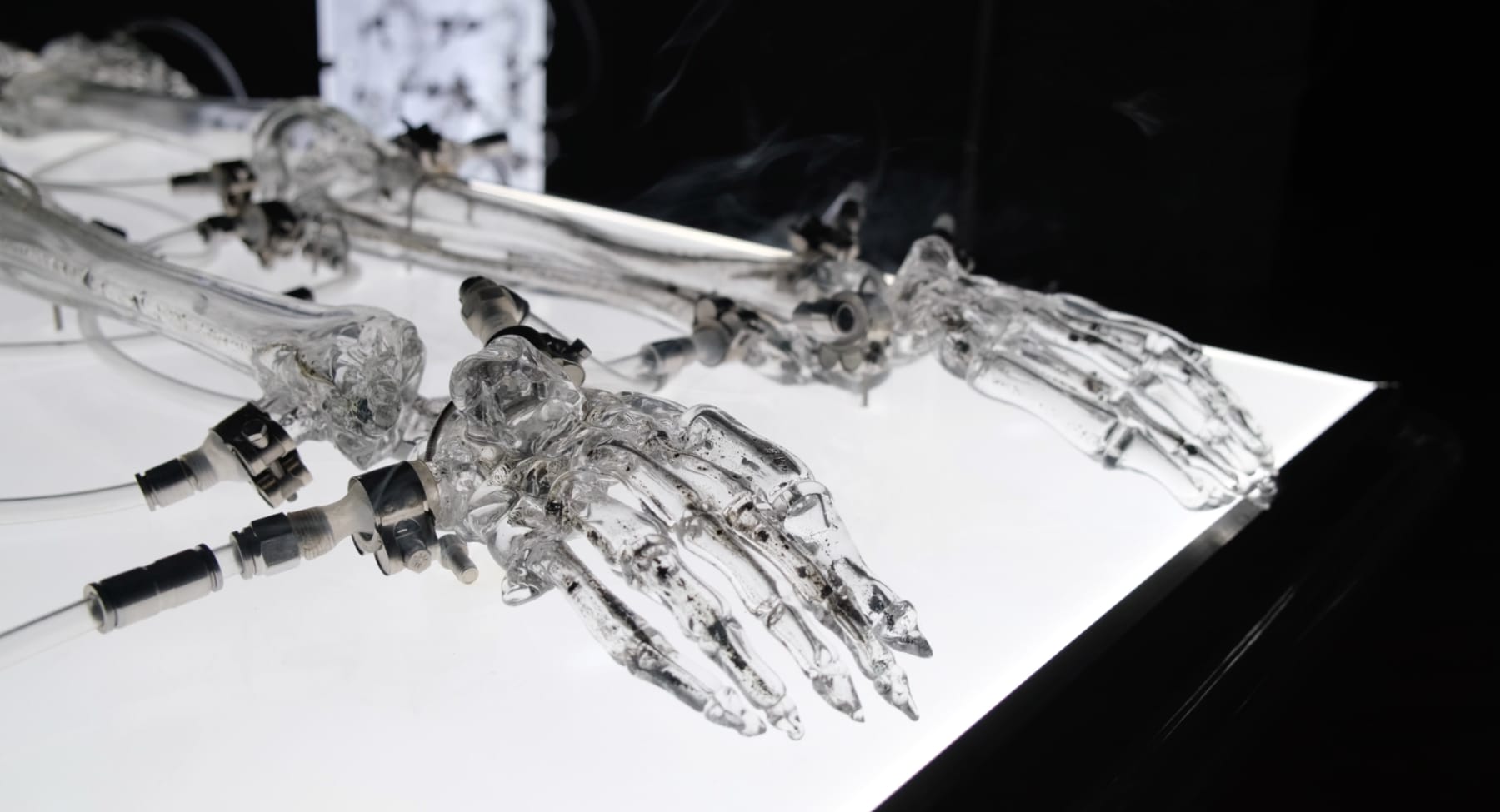 LIANG Zongyao, The Theorized Pain, 2024