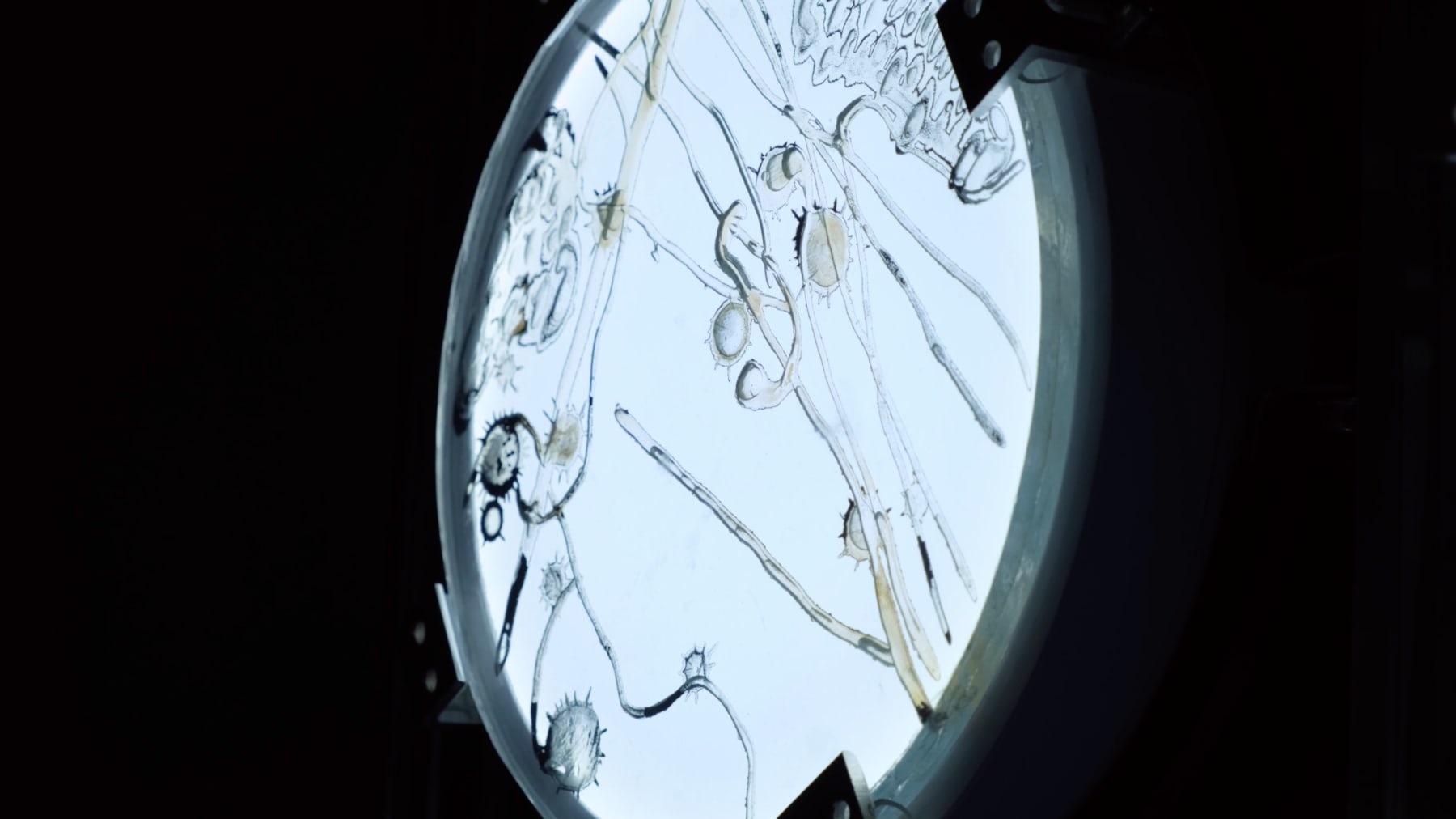 LIANG Zongyao, The Theorized Pain, 2024