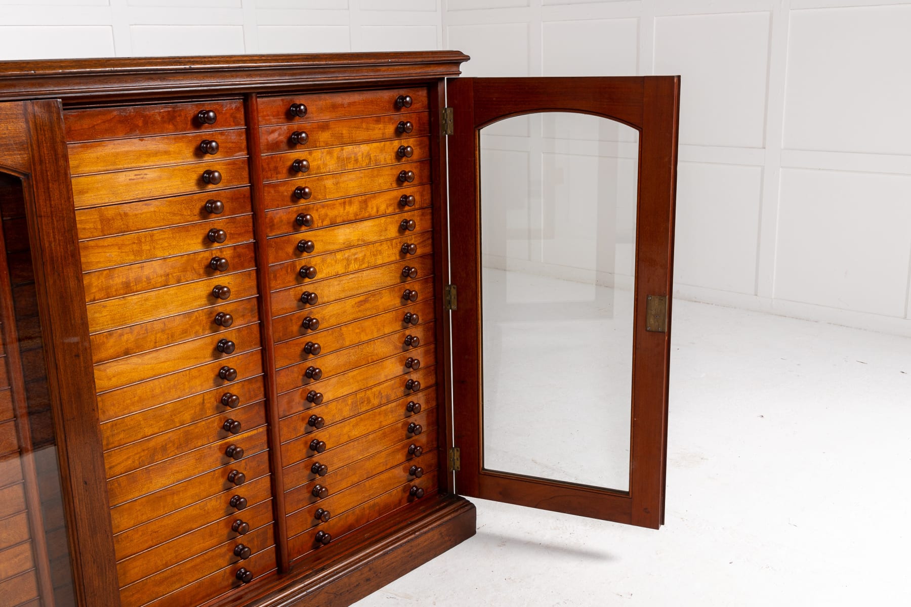 19th Century Butterfly Collection