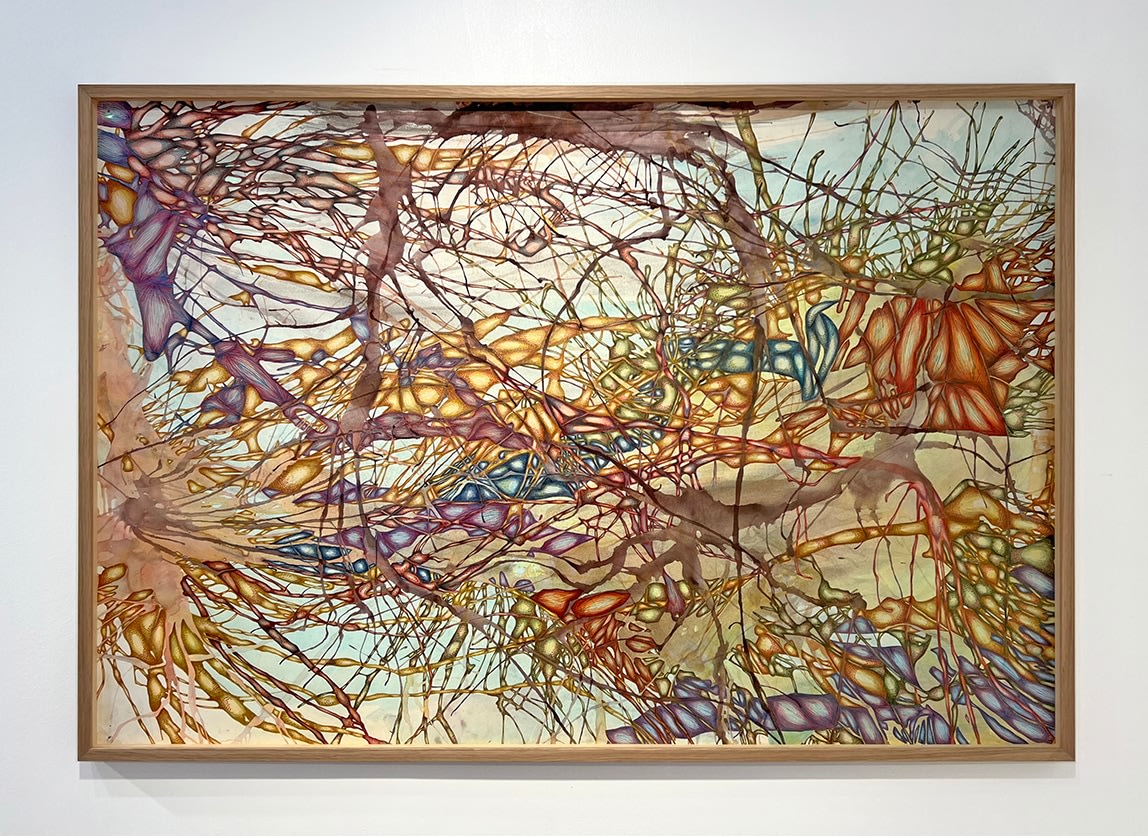 Rosalie Maillard, Mes contours sont des blessures, 2024