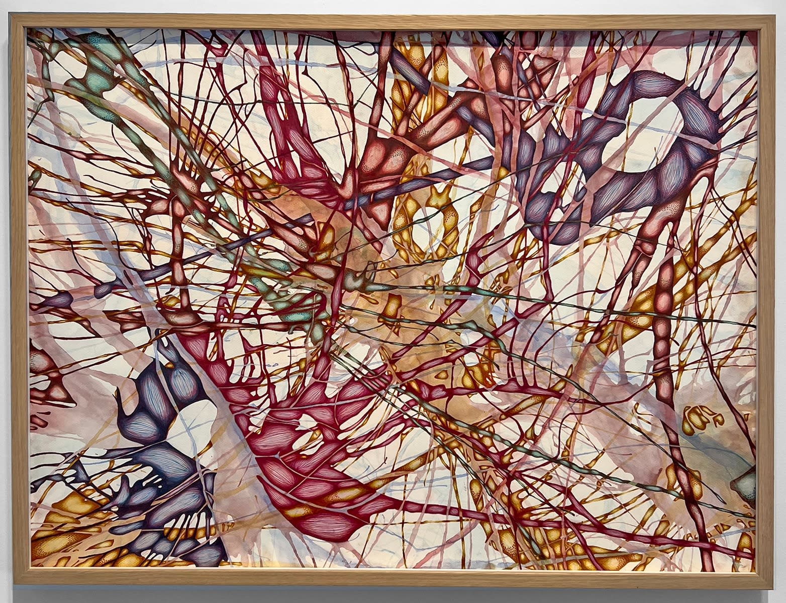 Rosalie Maillard, Chaleureuses délimitations, 2025