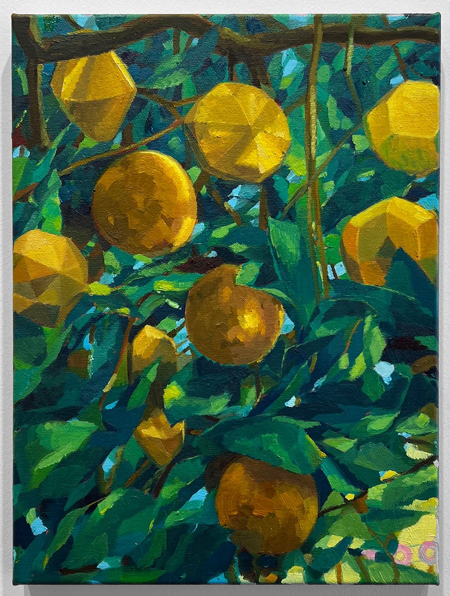 Matthieu Pommier, Polyèdres, 2025