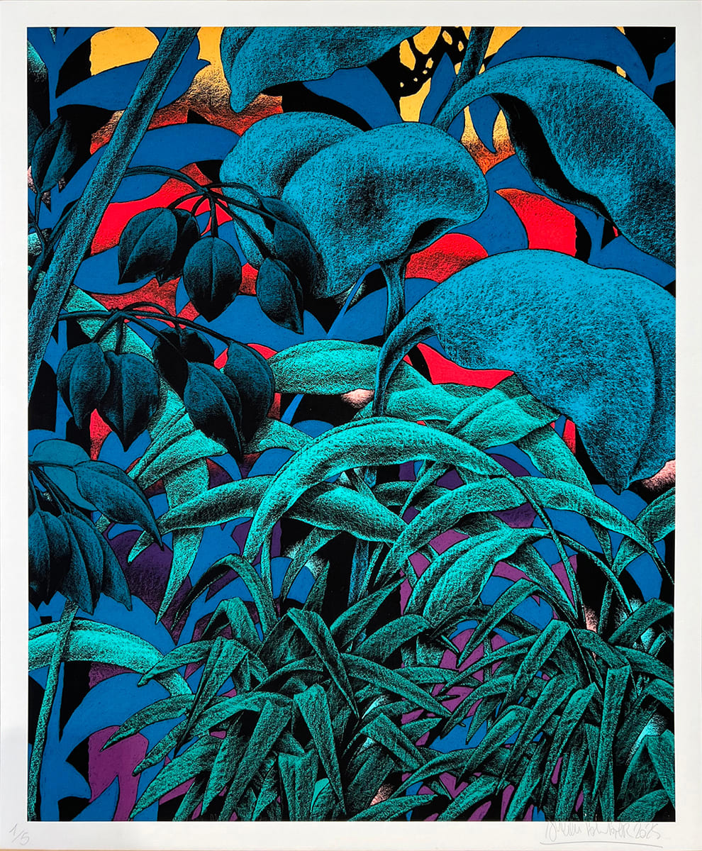 Julien Colombier, Absolutely Sunset, 2025