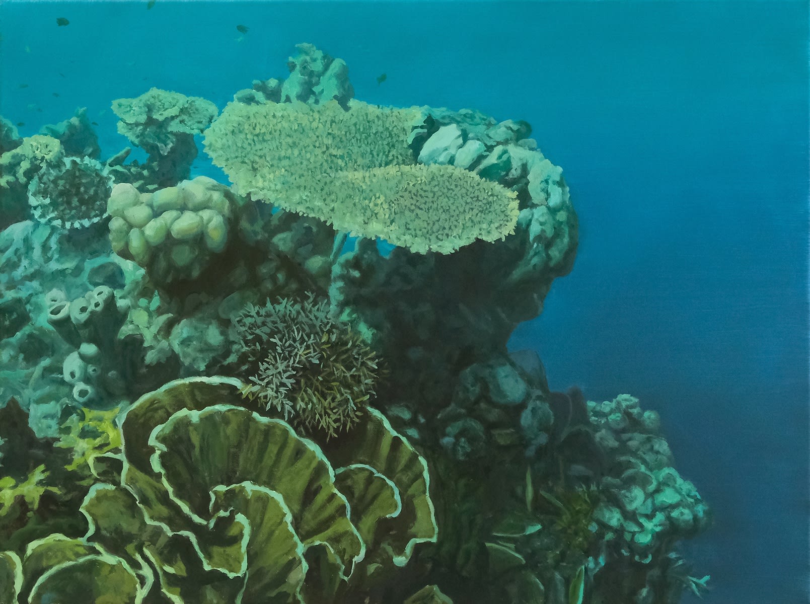 Bruno Gadenne, Coraux, 2024