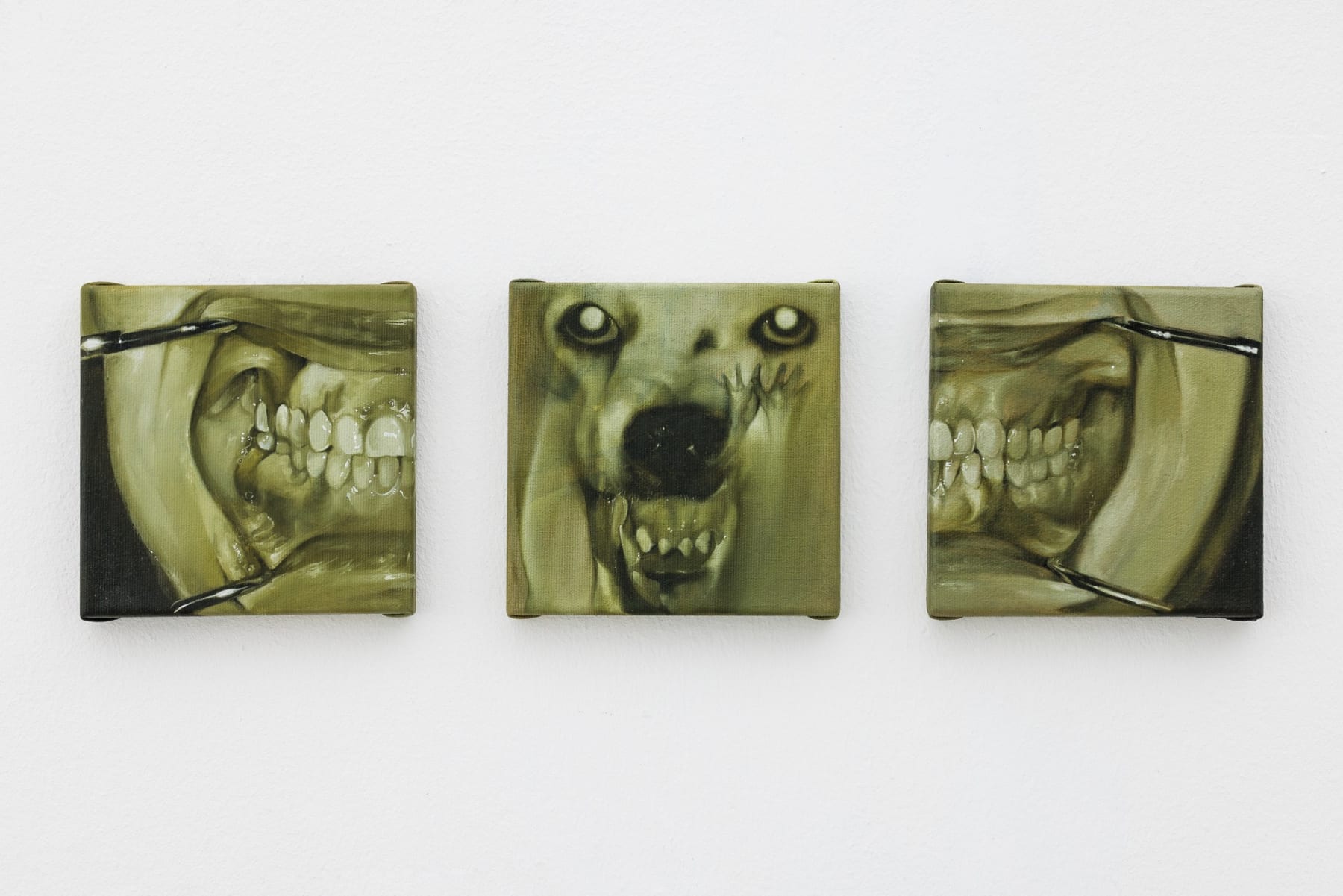 Paulina Aumayr, Schlag mir alle Zähne aus. (5), 2025