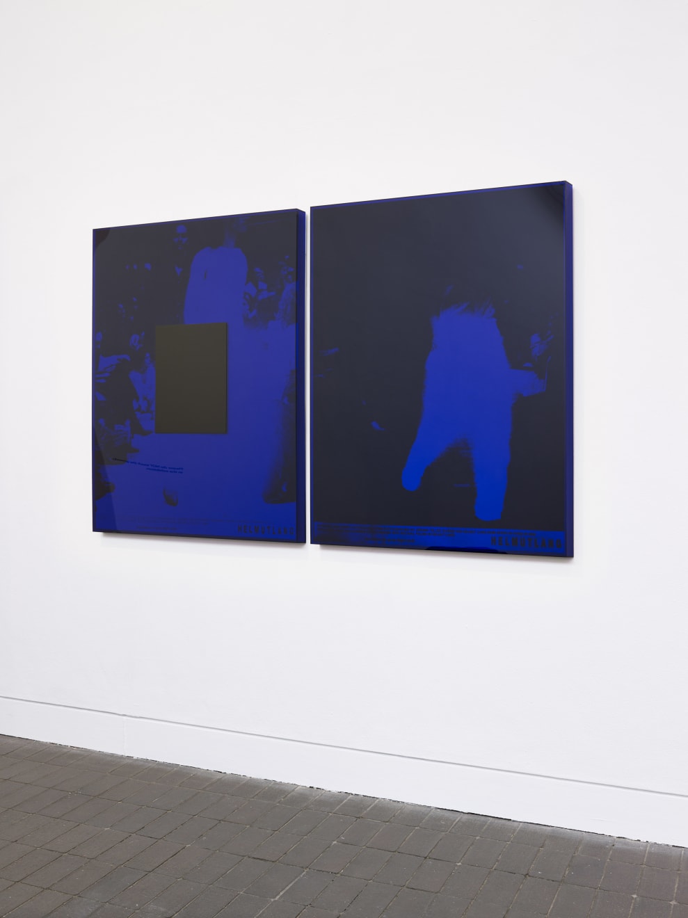 Simeon Barclay, Decoy, 2018