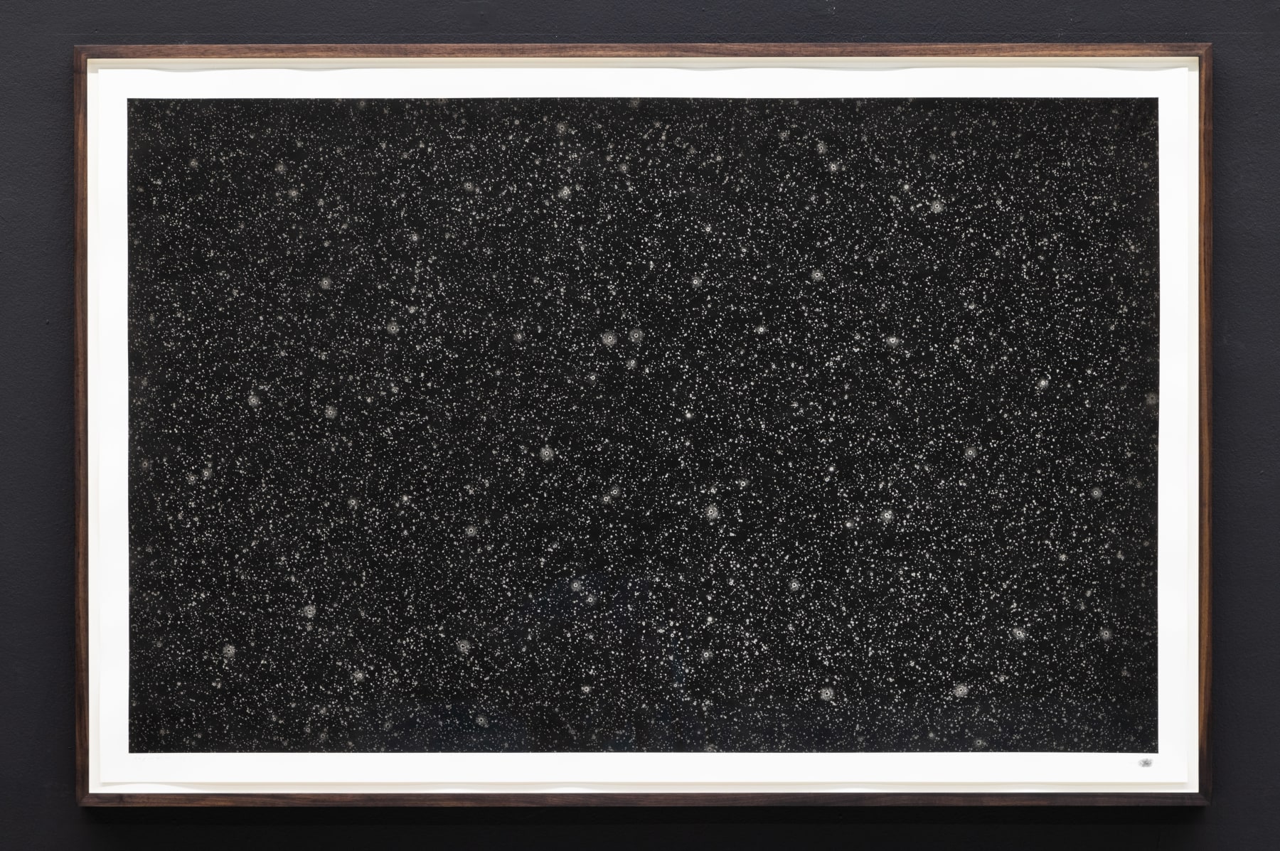 Maximilian Prüfer, Rainpicture 13.02.23, 2023