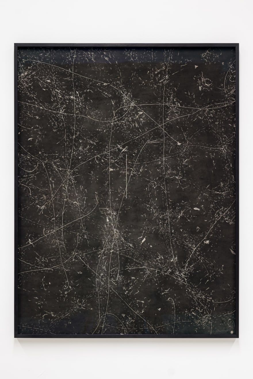 Maximilian Prüfer, Grasshopper - Line, 2016