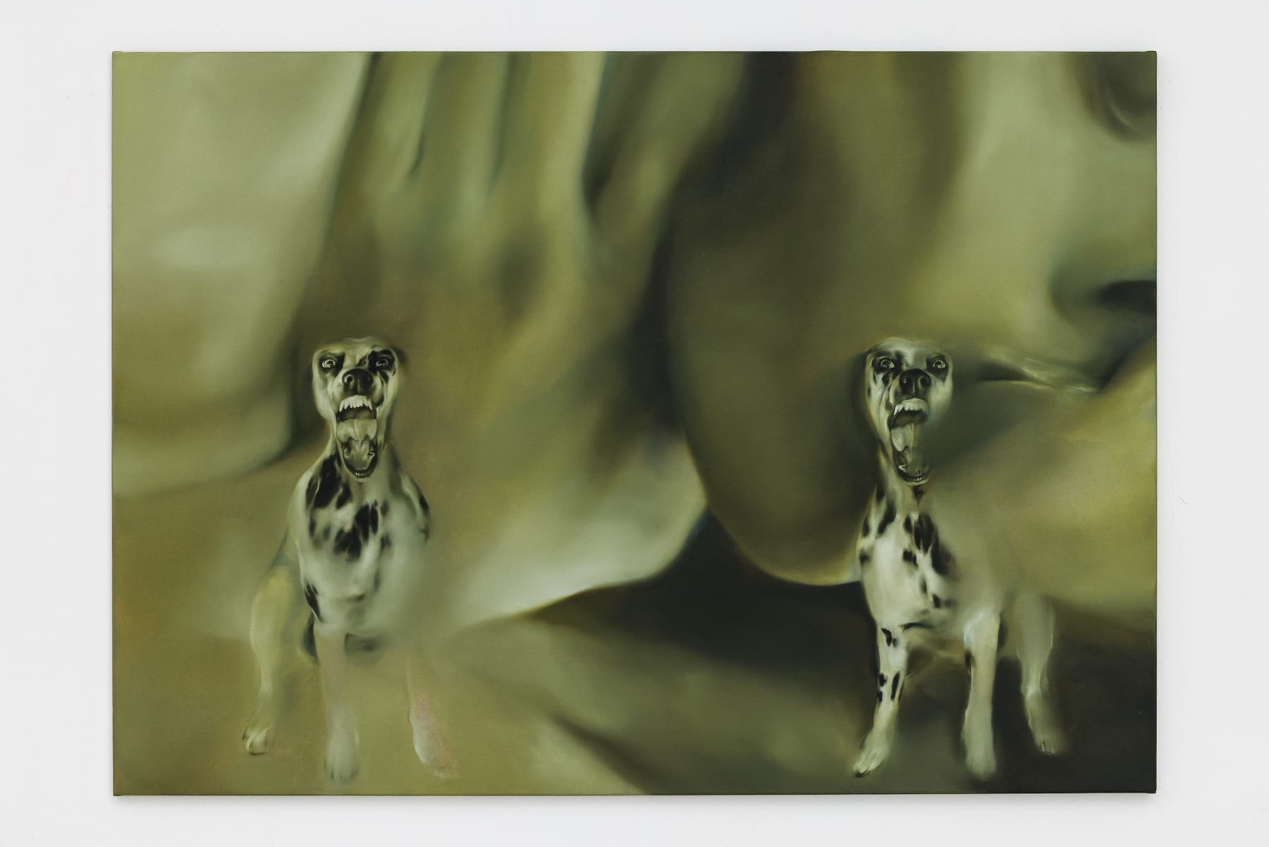 Paulina Aumayr, Bis meine Haut zu Leder wird. 2, 2025