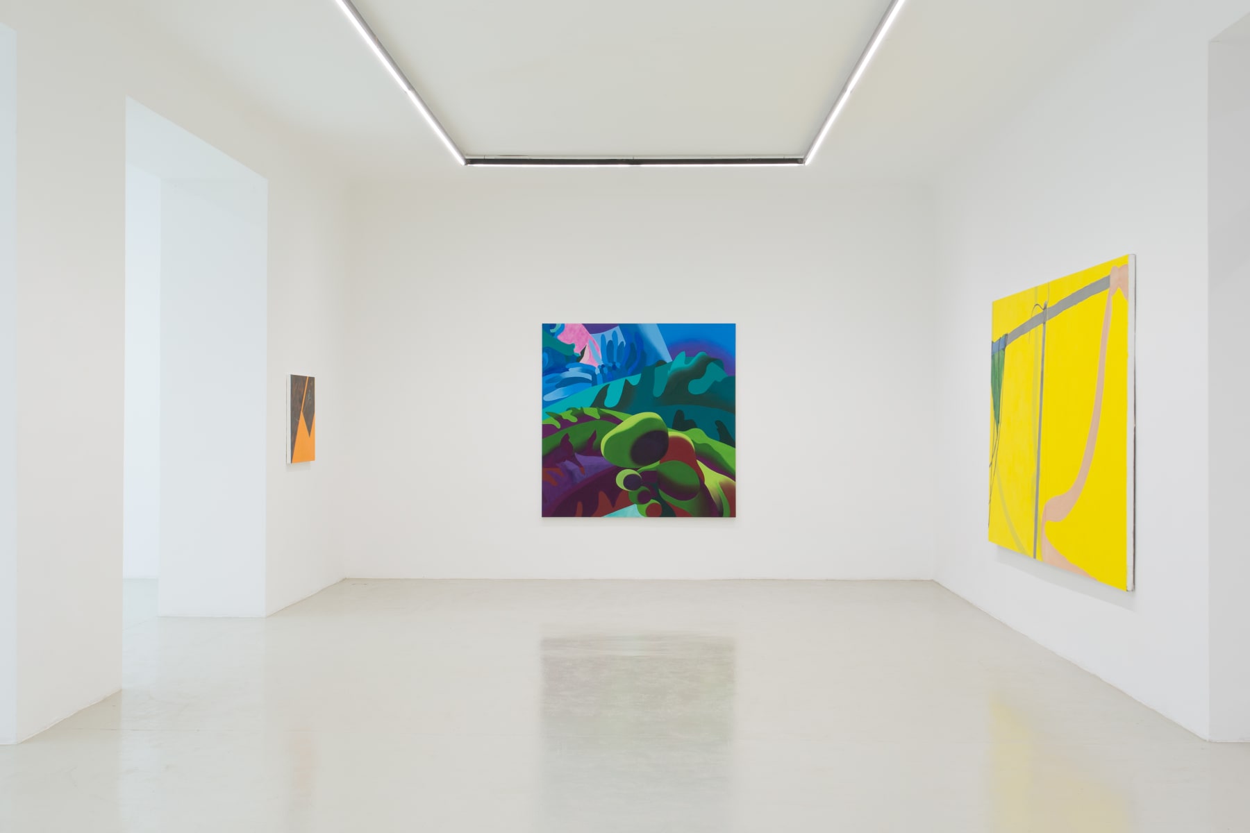 Delphine Hennelly, Kathryn Kerr, Leigh Ruple, Nathalie Shepherd & Faye Wei Wei, Installation View I, The Picture Is A Forest, 2019
