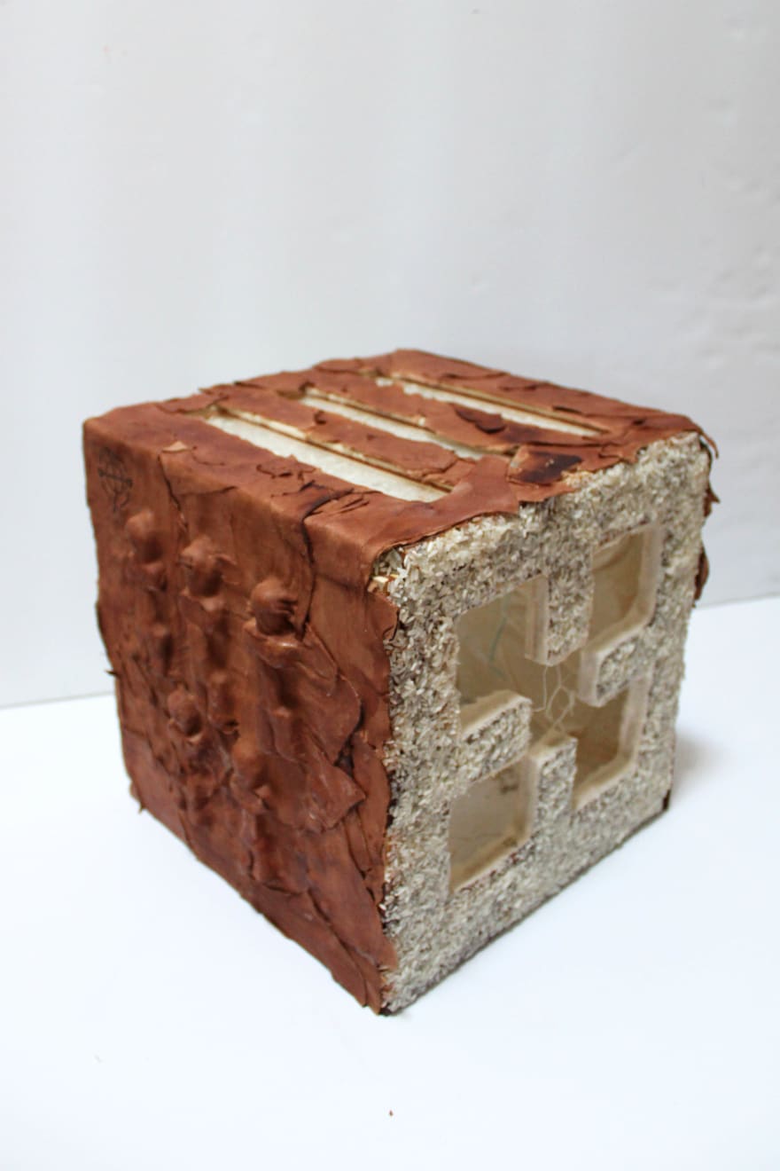 Calli Roche, Maslow Portal , 2022