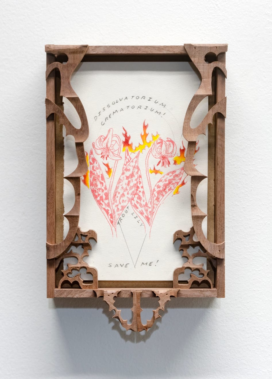 Harry Gould Harvey IV, Erythronium Americanum, 2020