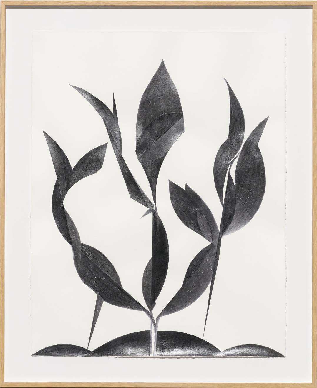 Frauke Dannert, Folie, 2018