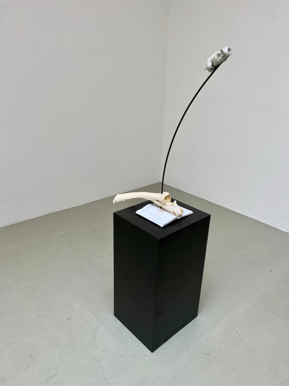 Catalina Ouyang, The Passion, 2021