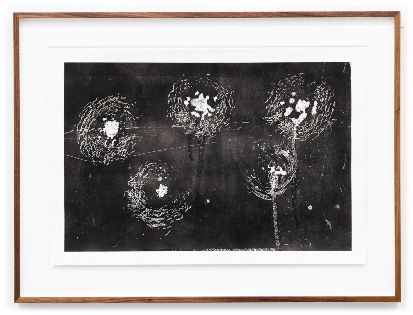 Maximilian Prüfer, Seeigel, 2015