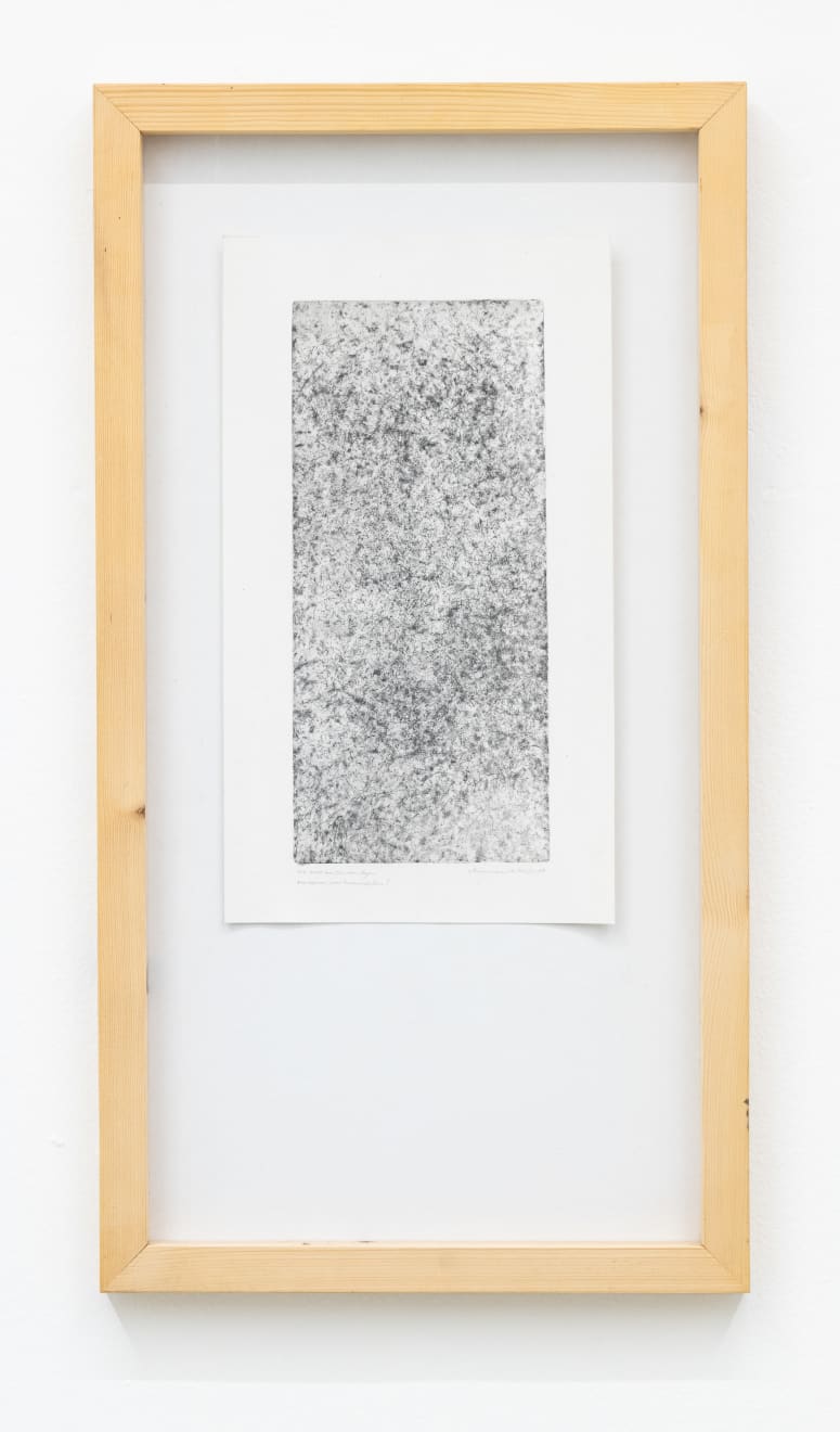 Maximilian Prüfer, Taubenfüße, 2009