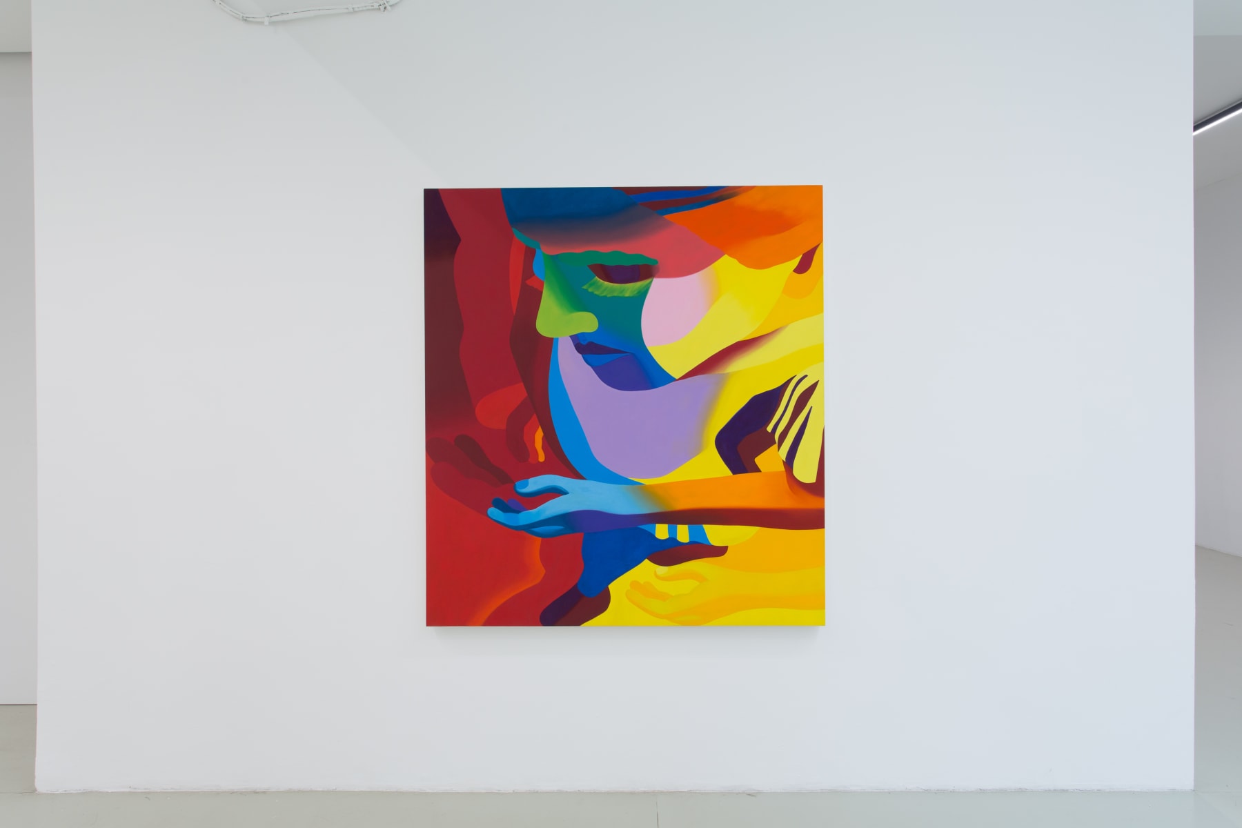 Delphine Hennelly, Kathryn Kerr, Leigh Ruple, Nathalie Shepherd & Faye Wei Wei, Installation View VI, The Picture Is A Forest, 2019