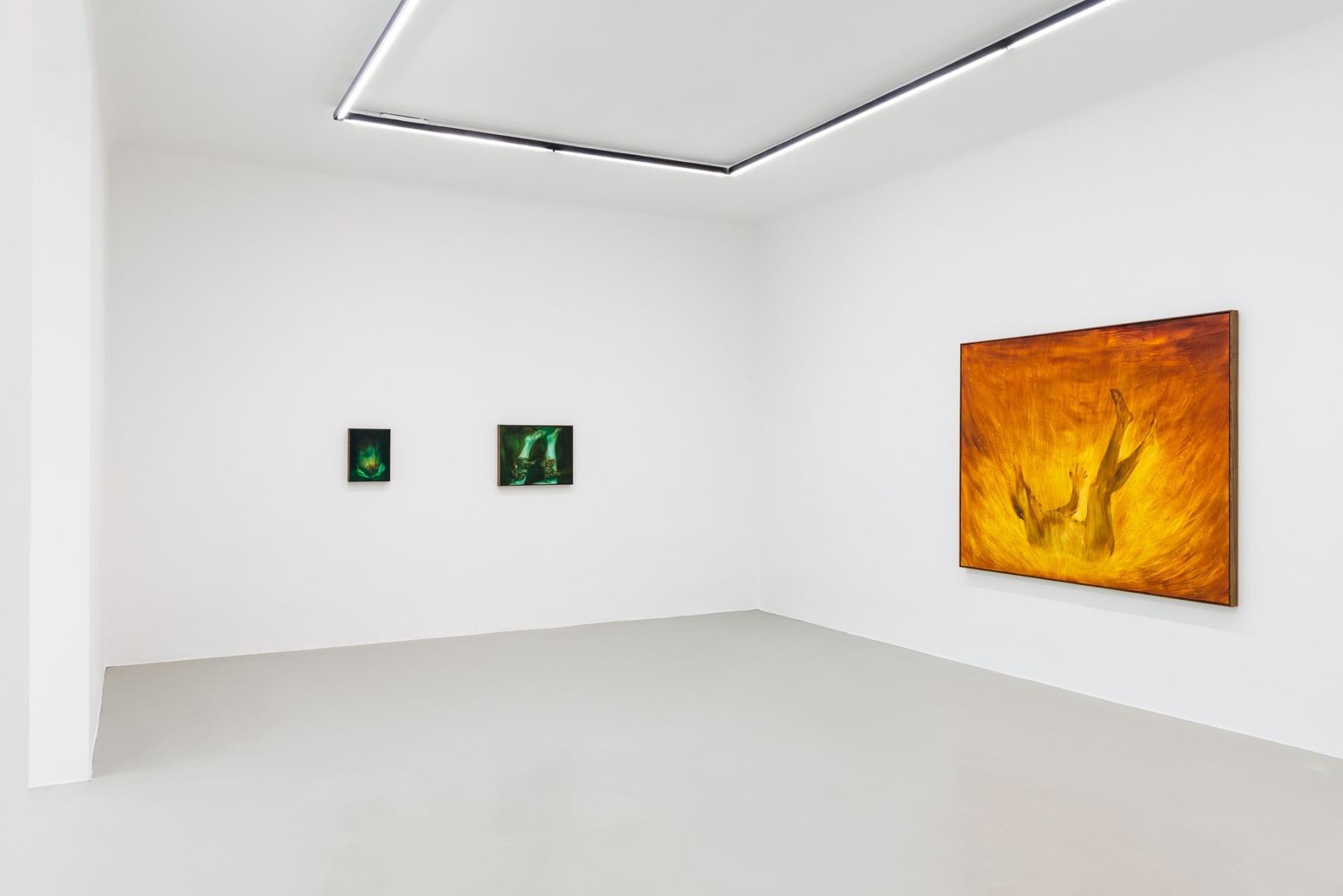 Xie Lei, Installation View: Nachleben , 2023