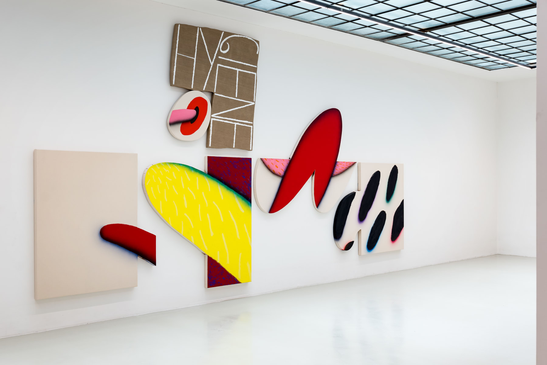 James English Leary, "The Bursting Grape", Installation View No. 02, 2017