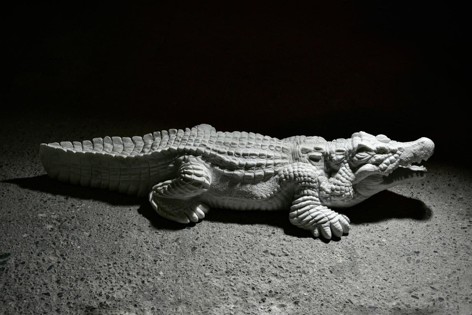 Irena Posner, Crocodile 'Venus', 2023
