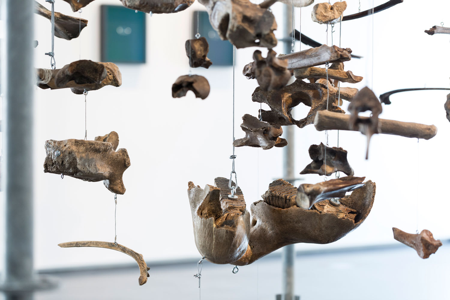 Maximilian Prüfer, Installation View "VIEH" at Villa Rot, 2018