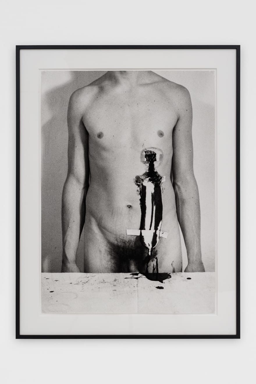 Hermann Nitsch, 15. Aktion, 1965