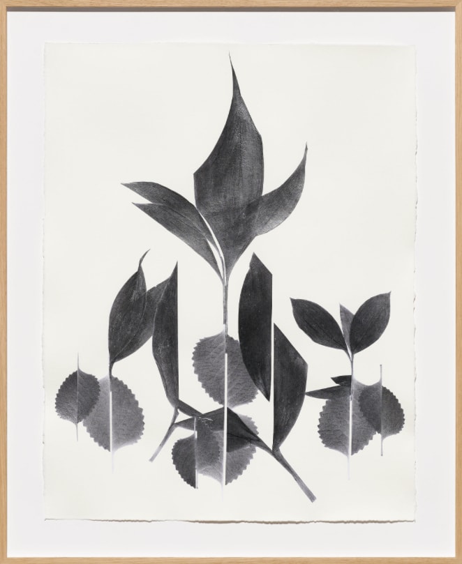 Frauke Dannert, Gloriette, 2018