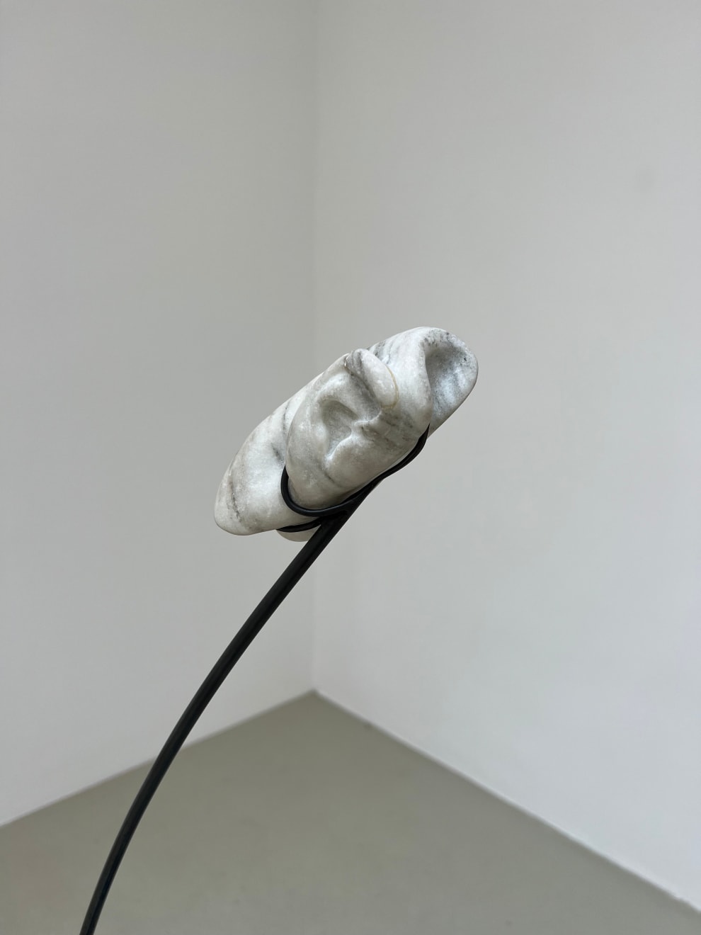 Catalina Ouyang, The Passion, 2021