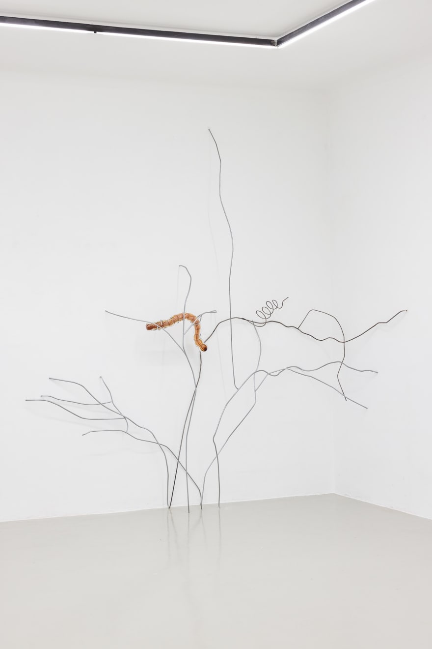 Nona Inescu, Walflower & Chenille 2 (Helicoverpa), 2023