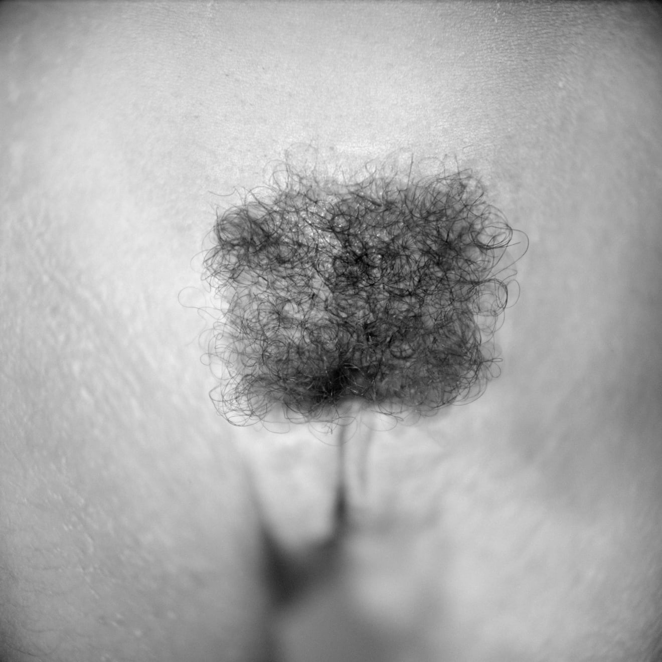 Tanja Ostojić, Black Square on White, 1996 / 2001