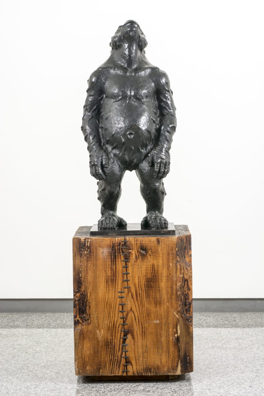 Liu Ruowang, Original SIn, 2011-2013
