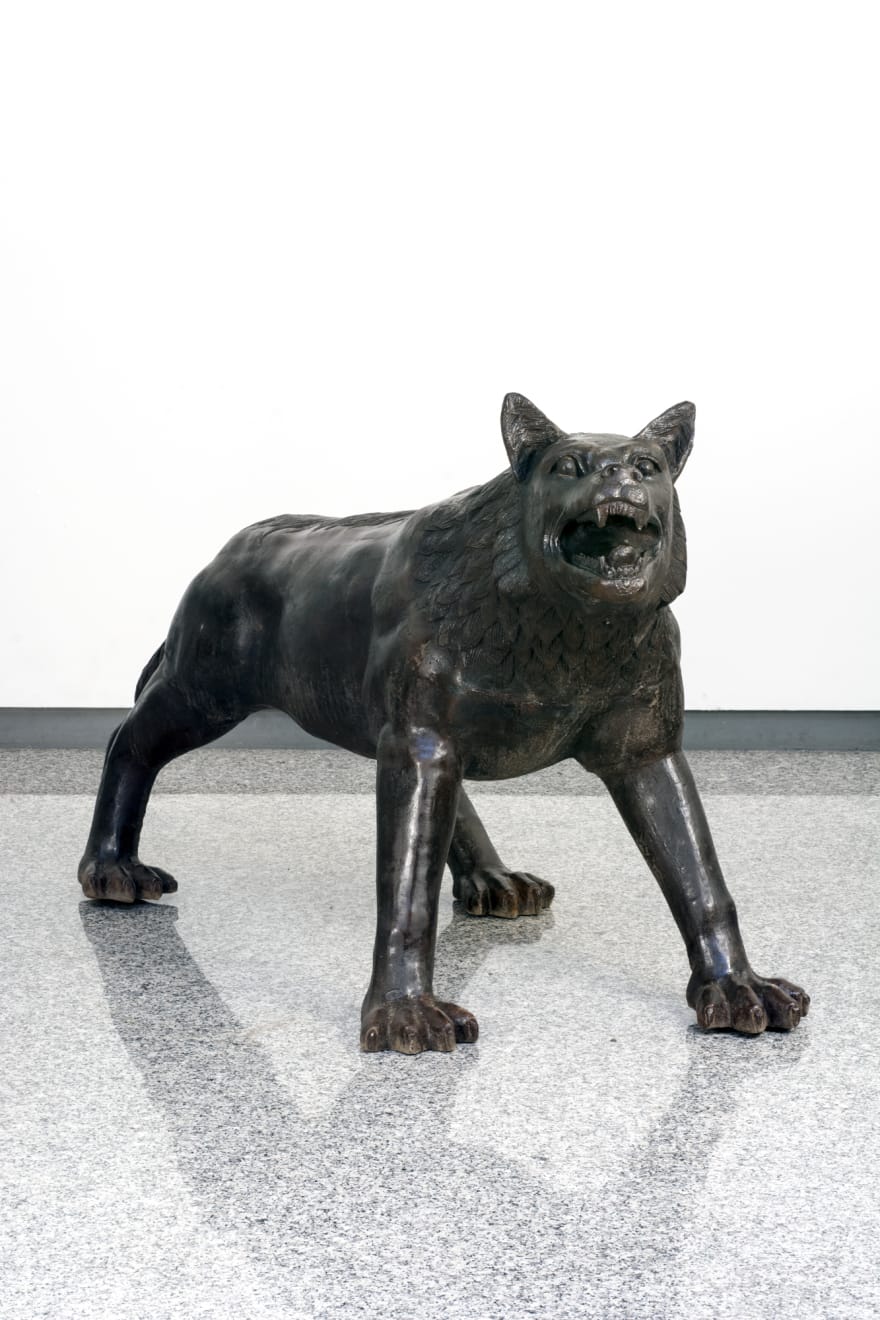 Liu Ruowang, Wolves Coming , 2008-2010