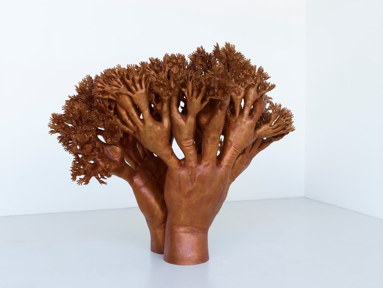 Tony Cragg, Manipulations, 2017