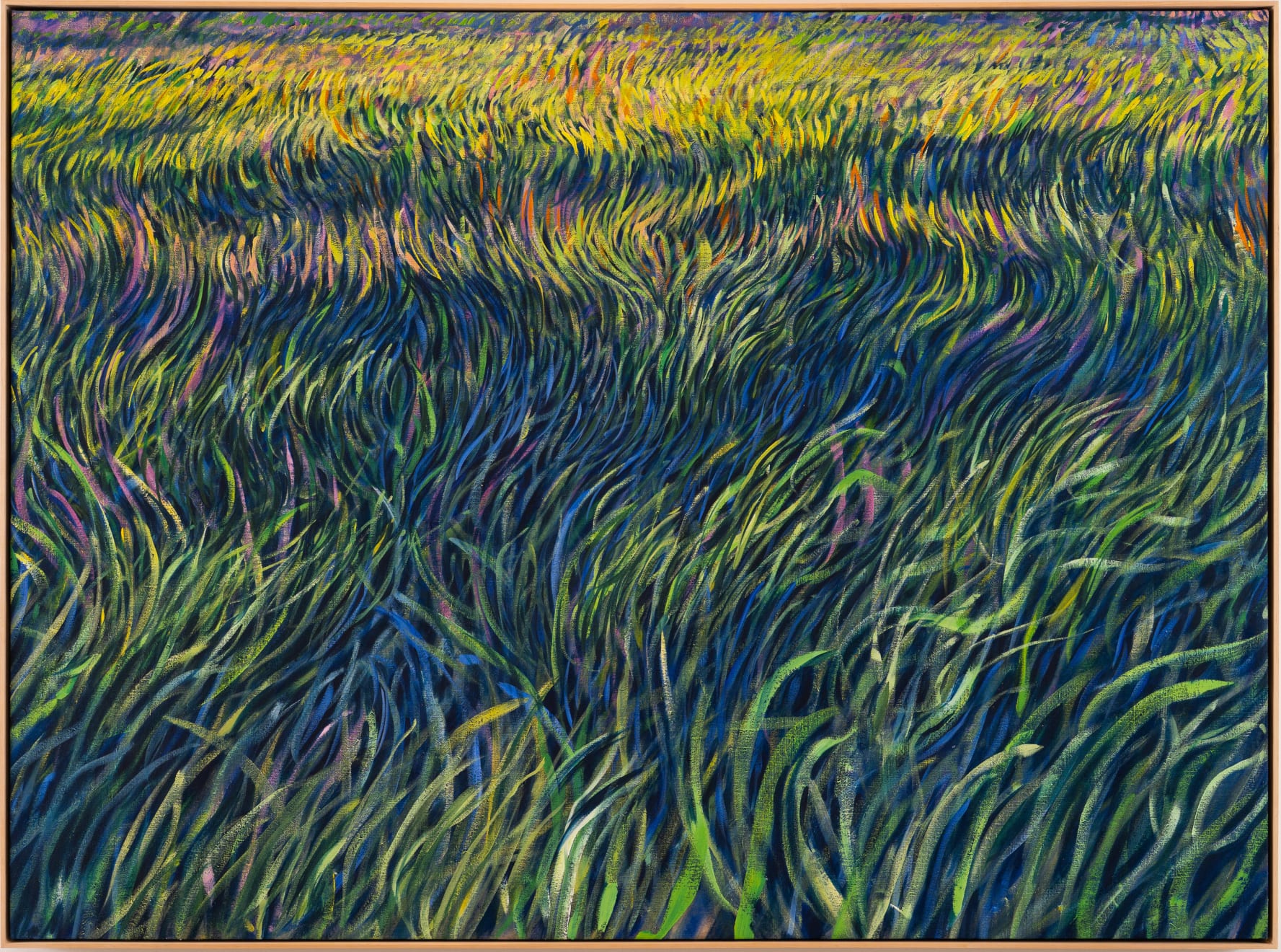 Where Clouds Go Over, 2025