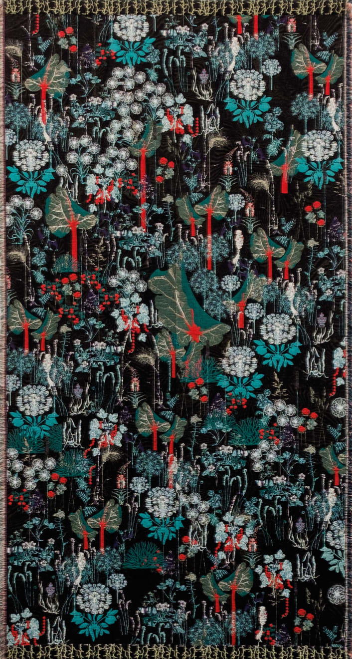 IC-98, A World in Waiting (78°14'08.4"N 15°29'28.7"E), 2017