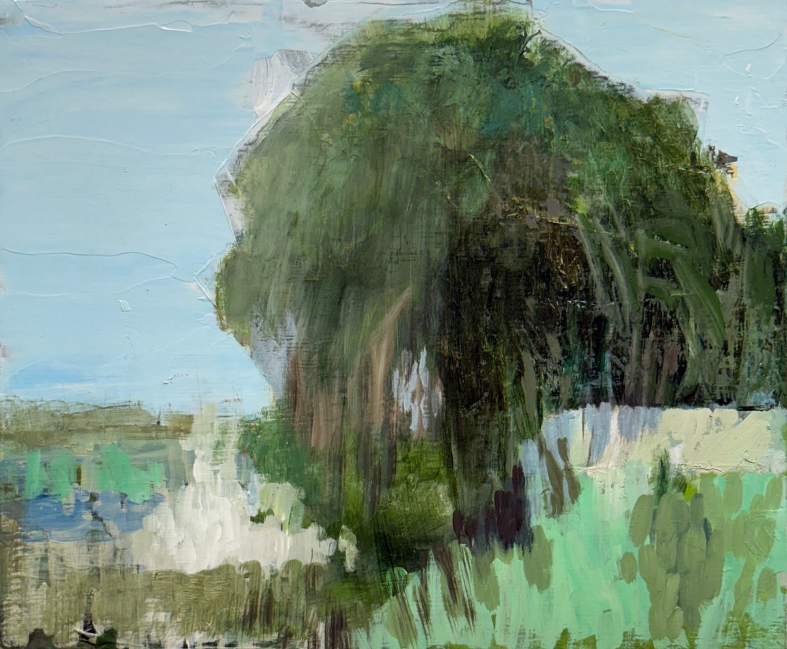 Katherine Taylor, Point Palm, 2025