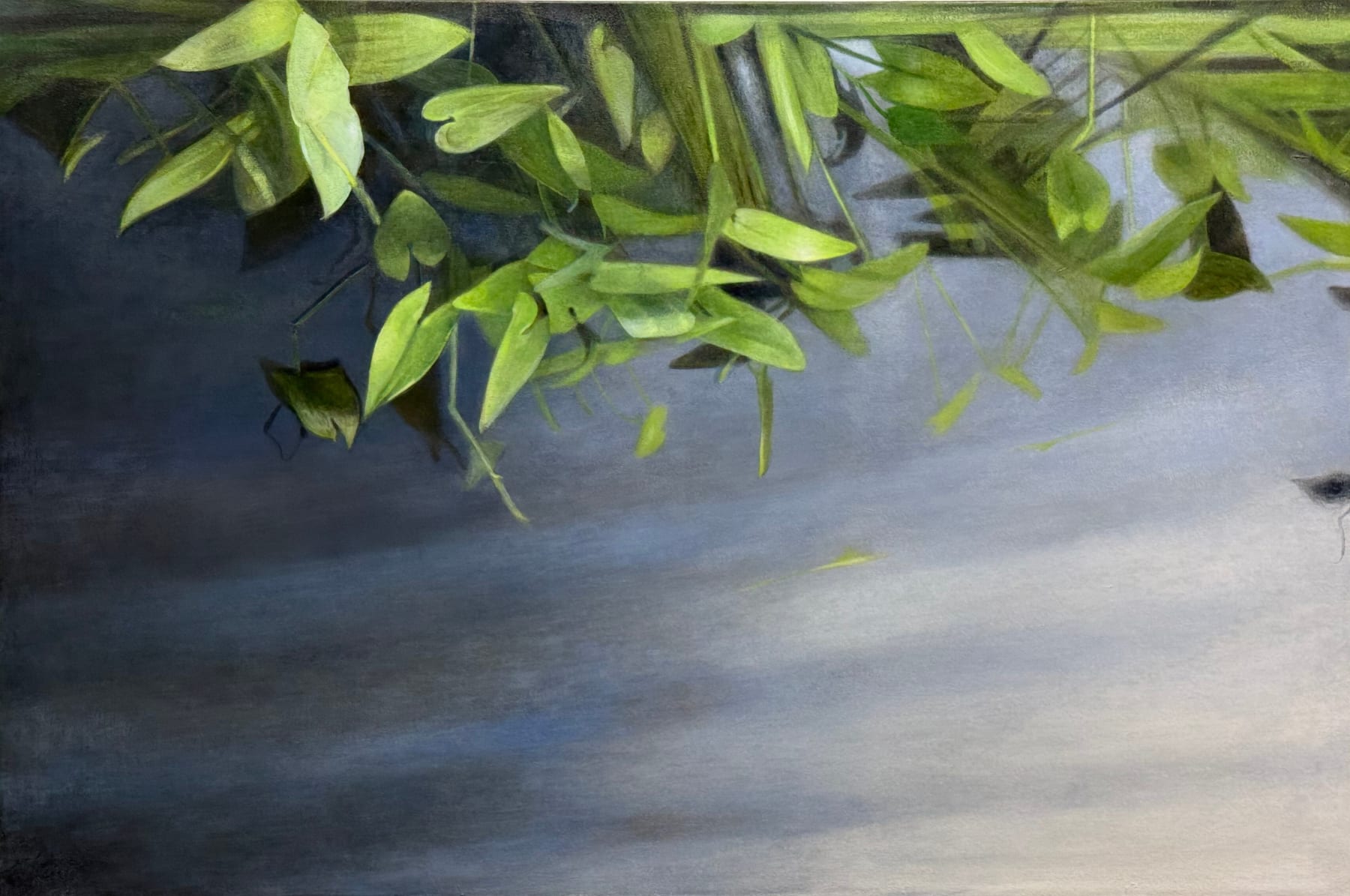 Katherine Taylor, Water Garden, 2025