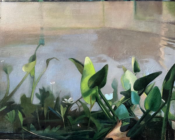 Katherine Taylor, Terrarium Still Life, 2025