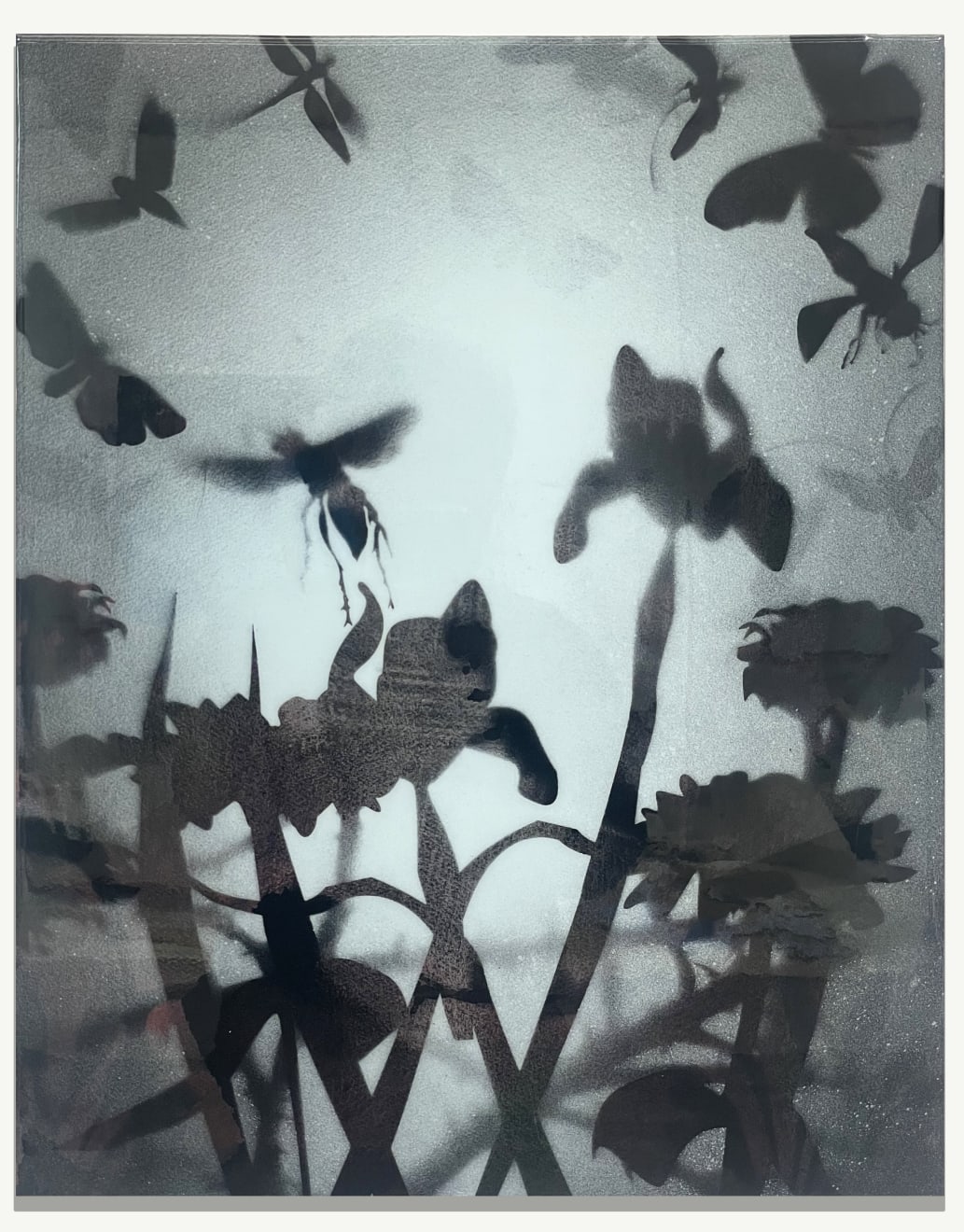 Joseph Peragine, SH 45, 2023