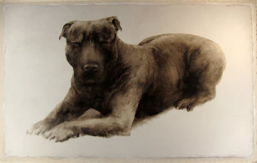 Kate Javens, For the Wolves, the Lambs, and the Rev, 2011