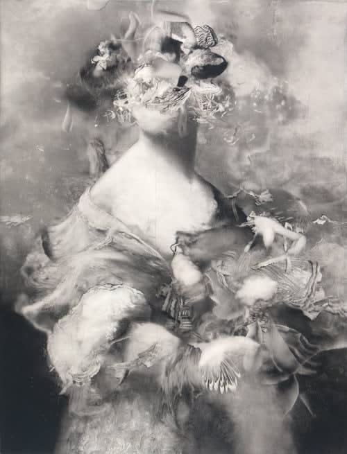 Brian Novatny, Rafaella Finita, 2018