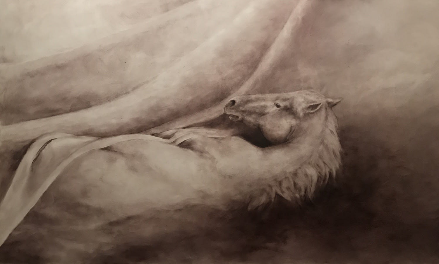 Kate Javens, Untitled, 2019