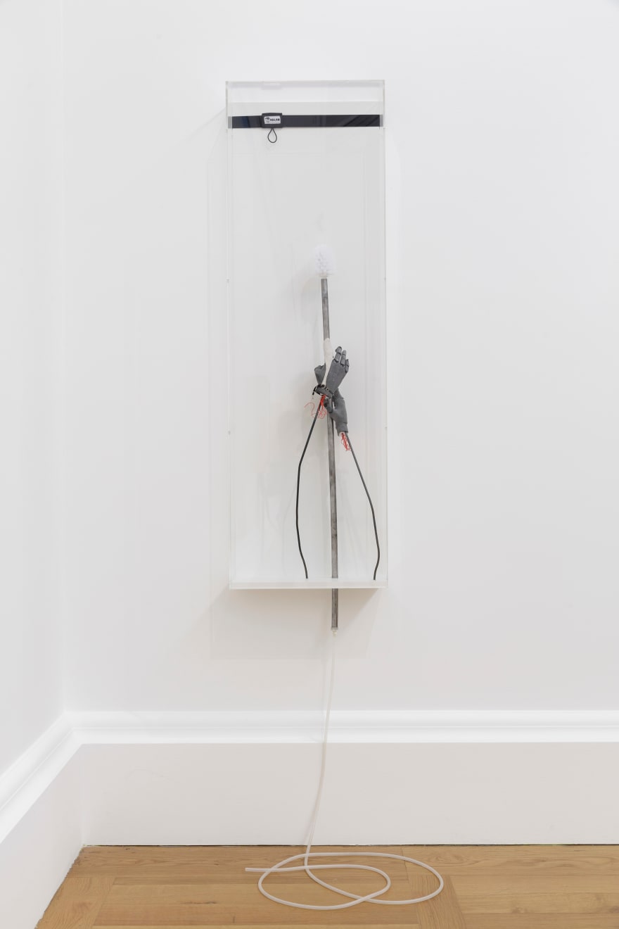 Jesse Darling, Regalia & Insignia (The staff of Saint Jerome), 2018