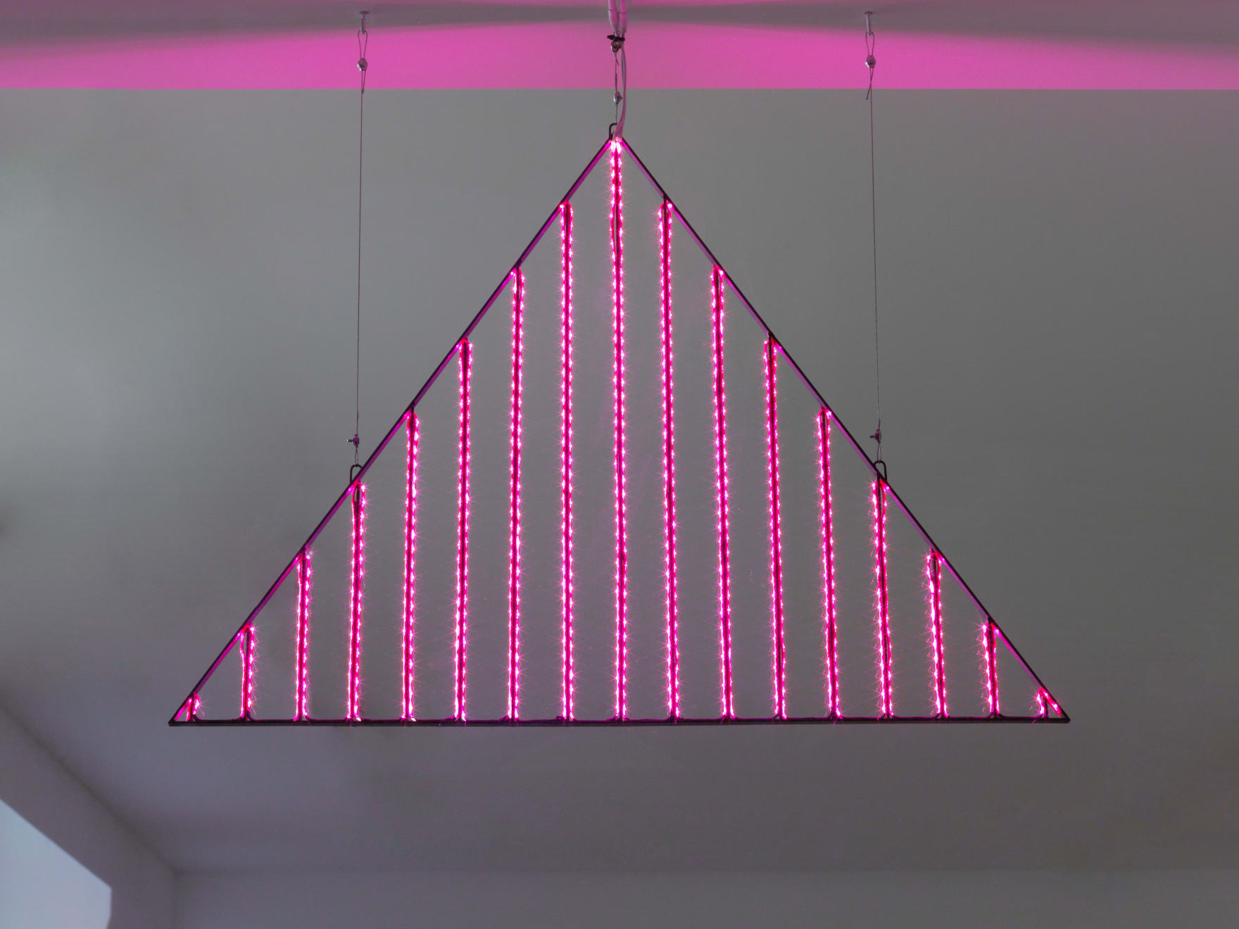 Ramaya Tegegne, Furys, 2018