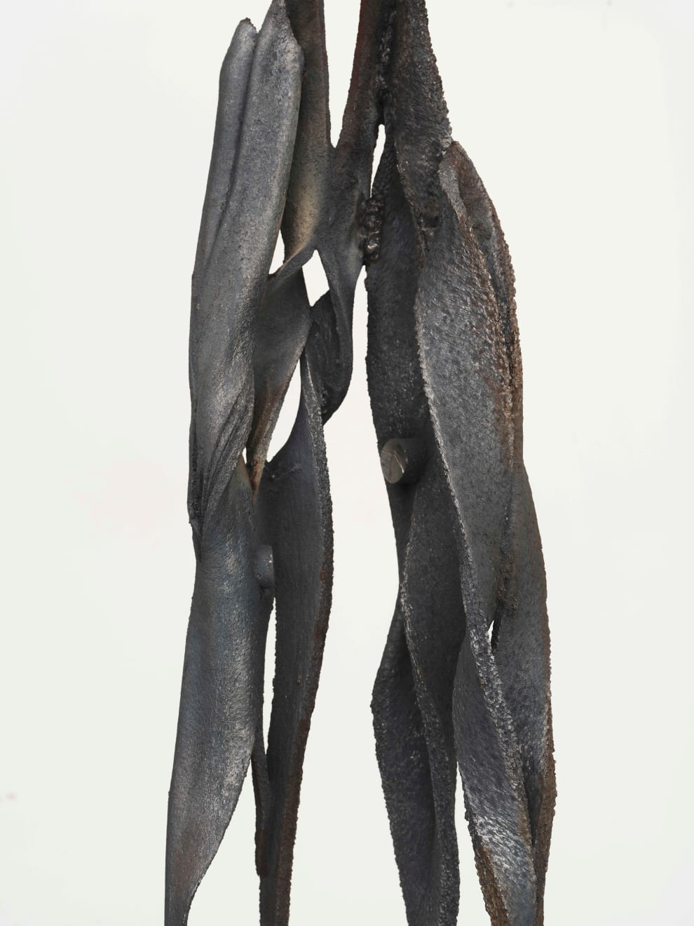 Eli Ping, Moult I, 2025