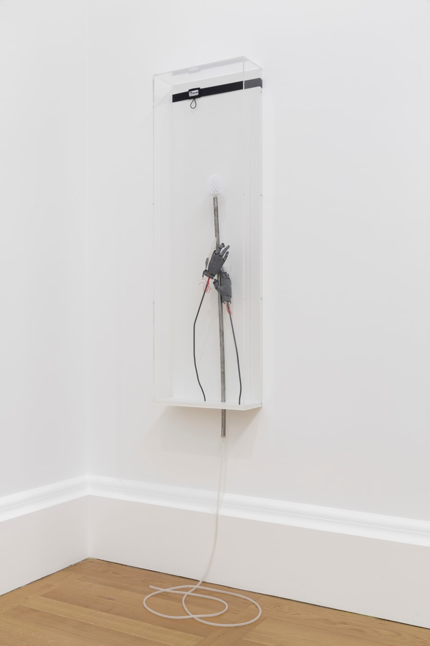 Jesse Darling, Regalia & Insignia (The staff of Saint Jerome), 2018