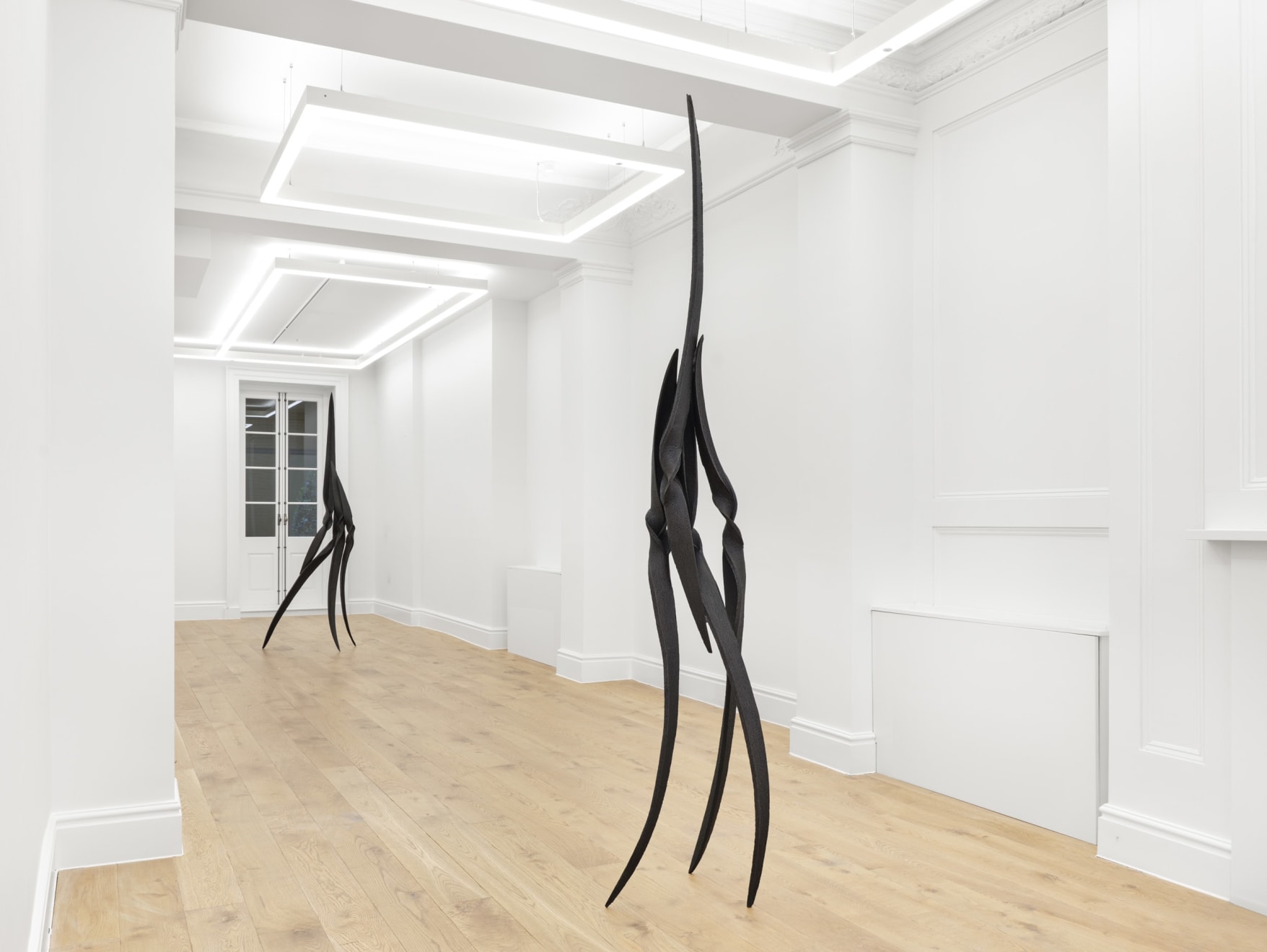 Eli Ping, Hesperocallis II, 2025