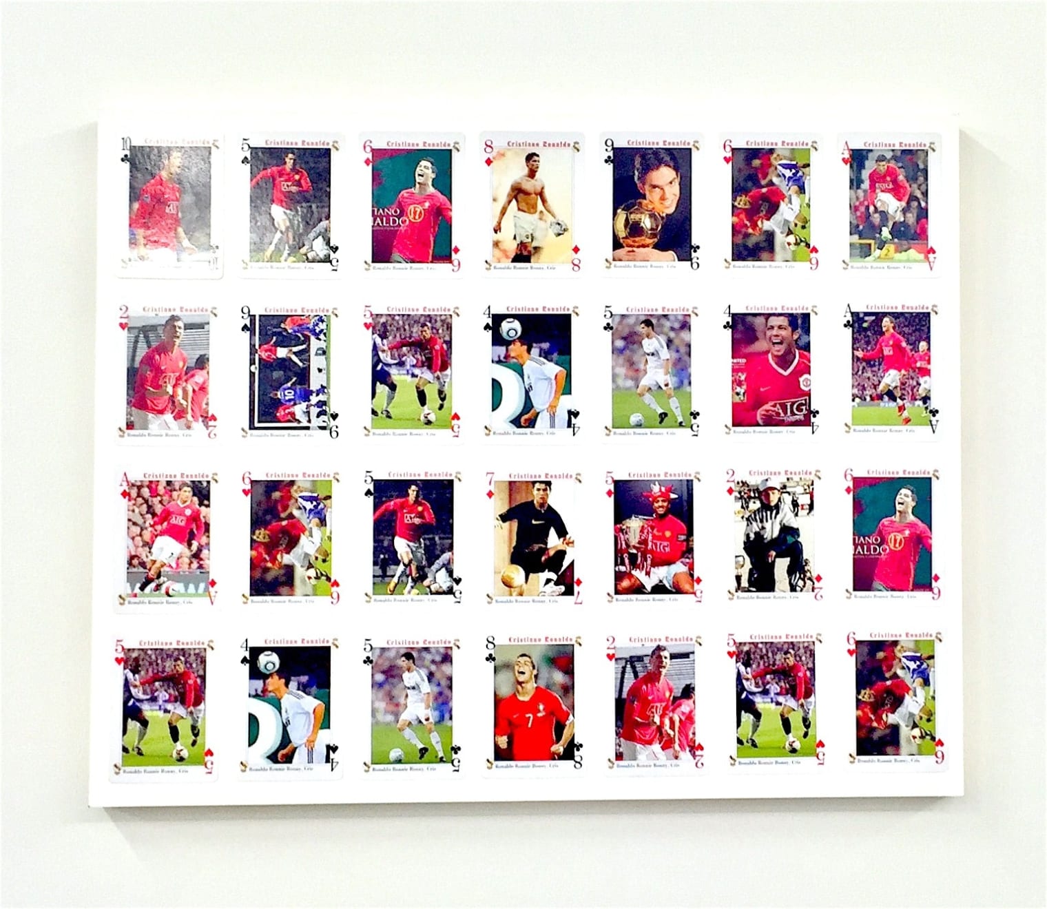 Mitchell Anderson, Je suis noir dedans et rose dehors, 2015