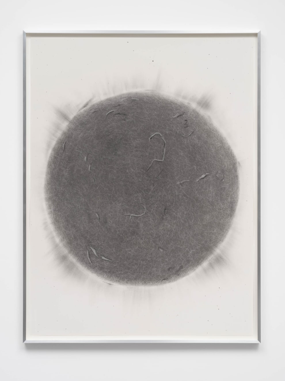 Juan Antonio Olivares, untitled (sun scan), 2021